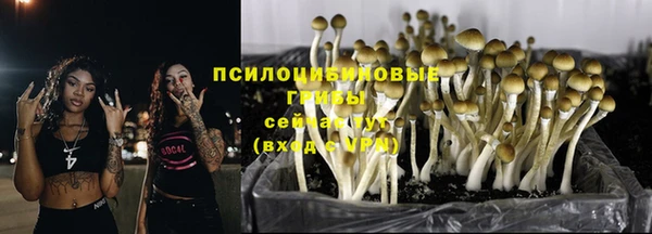 винт Михайловка