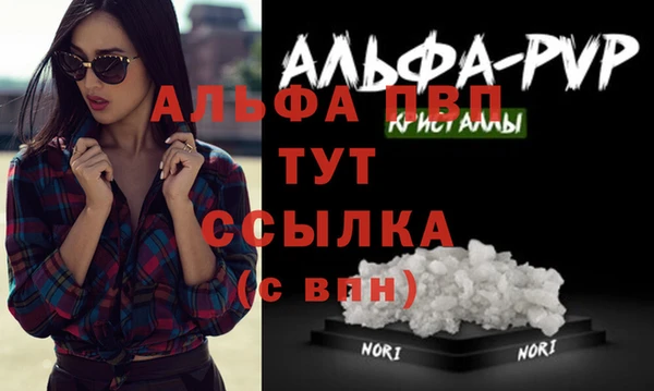 прущие грибы Мегион