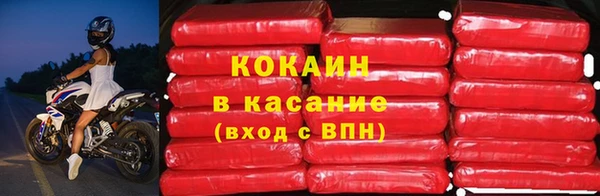 прущие грибы Мегион