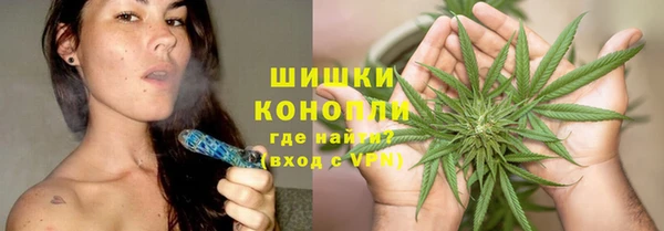 твердый Медногорск