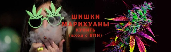 прущие грибы Мегион