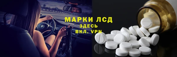 гашик Михайловск