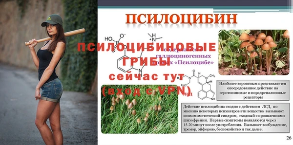 МДПВ Пересвет