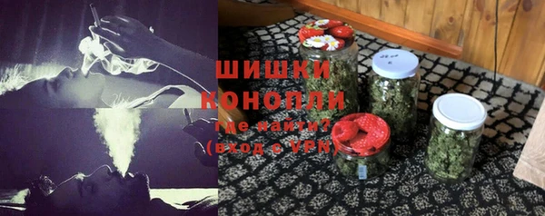 гашик Михайловск