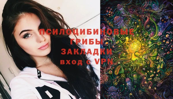 прущие грибы Мегион