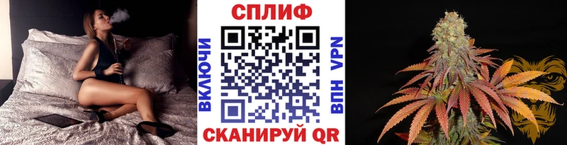 Каннабис конопля  Оса 